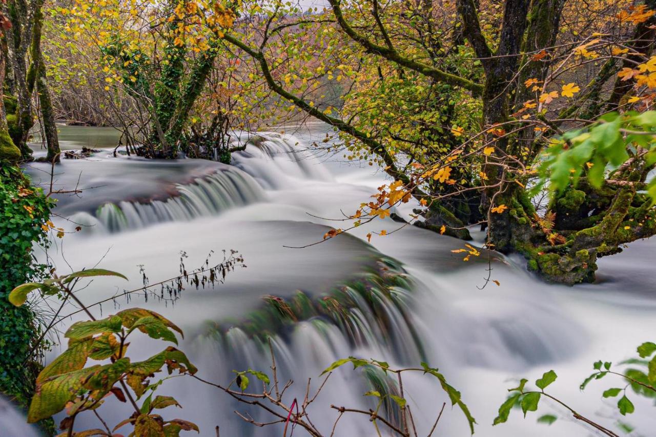 Вилла Ecotourism Мрежница Экстерьер фото