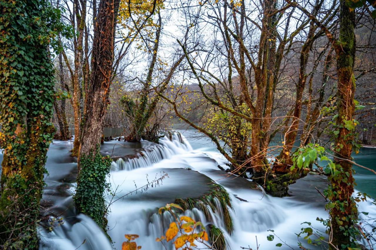 Вилла Ecotourism Мрежница Экстерьер фото