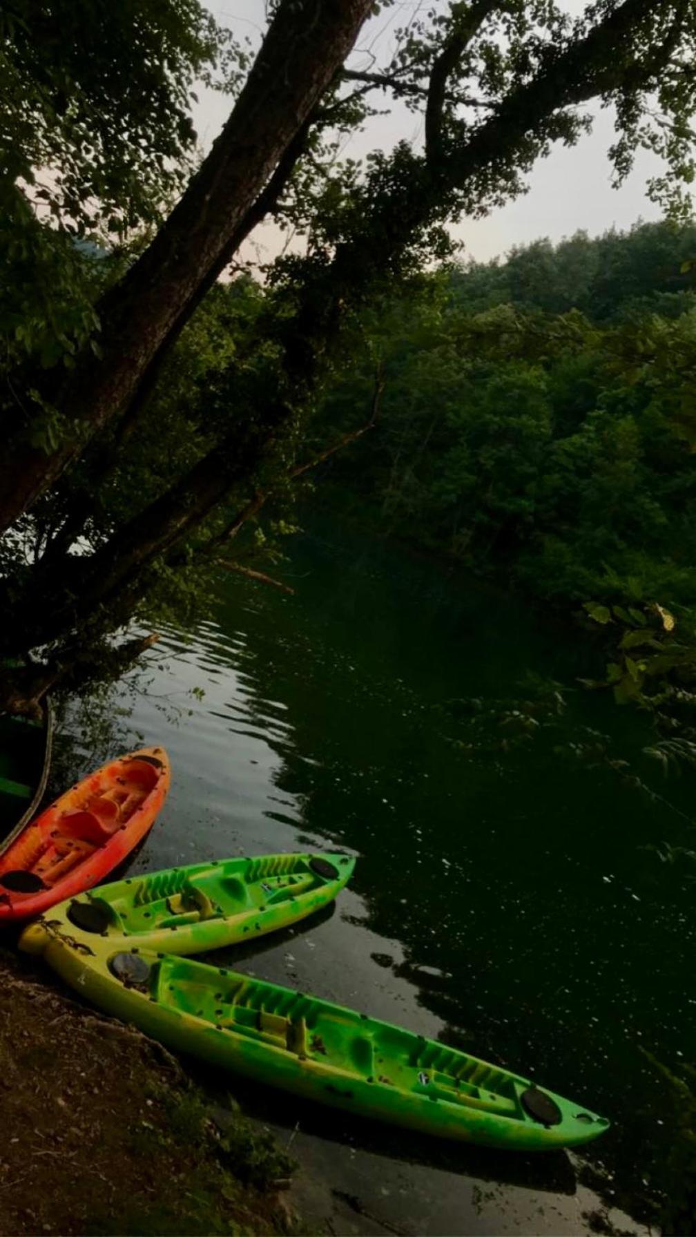 Вилла Ecotourism Мрежница Экстерьер фото